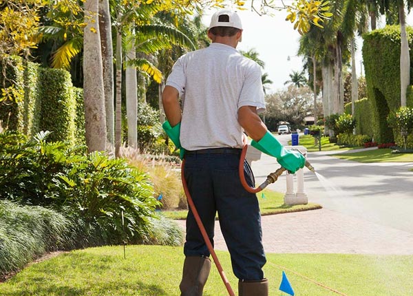 About Saint Thomas PA Pest Control